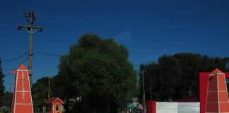 La Presidenta Comunal de Los Cedros habló sobre el avance en la conformación del corredor de la ruta 5