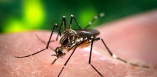 Dengue: Alta Gracia supera los 90 casos y continúan las fumigaciones