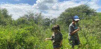La Quintana: Realizarán una caminata de reconocimiento y conexión con la biodiversidad para las infancias