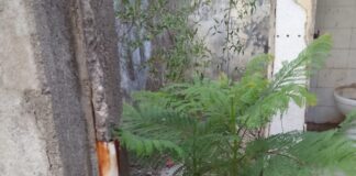Malagueño: las autoridades municipales aseguran que avanzan las obras en la Escuela IPEM 345
