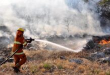 Altas temperaturas: alertan por el riesgo extremo de incendios forestales en la provincia