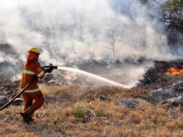 Riesgo de incendios: la Provincia declaró el Estado de Alerta Ambiental hasta el 31 de diciembre
