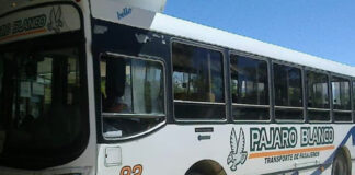 Crisis de transporte en San Clemente: la empresa Pájaro Blanco suspende su servicio, aislando a la comuna