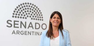 Una senadora del Pro afirmó que el blanqueo del Gobierno es «la oda al tonto que paga» y «la alegría de los evasores»