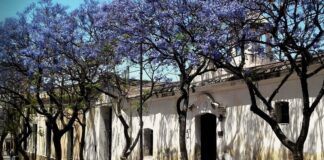 La Escuela «Carolina Mosca» será trasladada al edificio del ex Obraje, en la zona céntrica de la ciudad