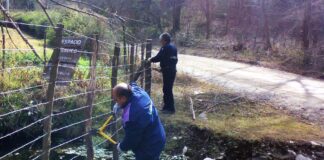 Una caja de herramientas para defender los derechos ambientales