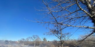 Anisacate: el incendio camino a Costa Azul está controlado y no hubo daños en viviendas ni personas heridas