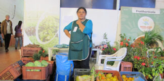 Agroalimentos: en mayo, el consumidor pagó $3,3 por cada $1 que recibió el productor