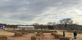 Despeñaderos tendrá una cámara de germinación para la producción de especies nativas