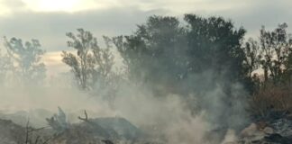 Bomberos sofocaron un incendio en un baldío de Villa del Prado