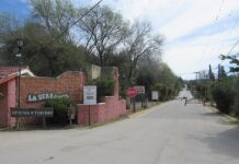 La Serranita: invitan a una jornada de reforestación, reconocimiento y germinación de árboles nativos