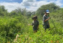 Invitan a una caminata de reconocimiento y preservación ambiental por la reserva de La Quintana