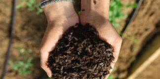 La huerta agroecológica Brota la Tierra llevará a cabo un taller de Bocashi