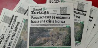 Papel Tortuga 212 ya está en la calle y estos son sus títulos