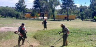 Recomiendan limpiar desagües y desmalezar terrenos para prevenir la proliferación del dengue