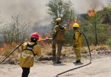 Hasta el viernes 28 de noviembre el riesgo por incendios es extremo en toda la provincia