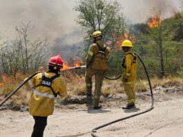 Advierten que por las condiciones climáticas, se aproximan días de alto riesgo para la generación de incendios