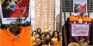 Fiscalía pidió 20 años de prisión para Diego Concha por la muerte de Luana Ludueña