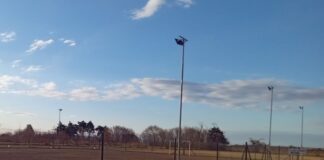 Santa Ana: lanzan concurso abierto para nombrar el «Predio Recreativo Mi Valle»