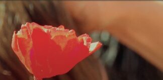 «Lo imposible solo tarda un poco más»: una invitación a hacer memoria, a ocho años de la sentencia de La Perla