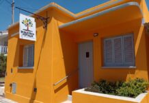 Huerta agroecológica en casa: invitan a un taller que se desarrollará en la biblioteca Sarmiento