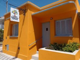 Huerta agroecológica en casa: invitan a un taller que se desarrollará en la biblioteca Sarmiento