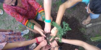 La Fundación Garabato lanzó una convocatoria para presentar proyectos de reforestación