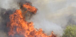Sin los votos de LLA, el Senado le dio media sanción a la emergencia ambiental por los incendios en Córdoba