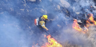Advierten que el riesgo de incendios forestales es extremo en la provincia de Córdoba