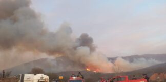Repudio ambientalista a dirigente rural que responsabilizó a la Ley de Bosques por los incendios
