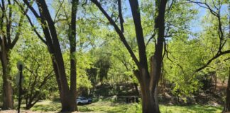 Tragedia en Alta Gracia: investigan un presunto femicidio en barrio Don Bosco