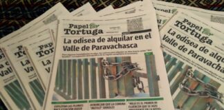 Ya salió el Papel Tortuga 213 y estos son sus títulos principales