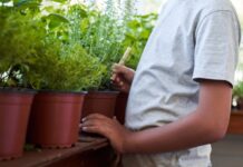 Convocan a personas, familias o parejas para adoptar a tres jóvenes y un niño