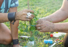 En el marco del festejo por sus 25 años, realizarán una forestación comunitaria en la escuela Julio Barrientos