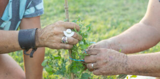 La Municipalidad y Fundación Garabato firmaron un convenio para impulsar la reforestación de triple impacto