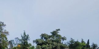 Santa Ana: falleció un joven de 18 años, tras ser embestido por una camioneta