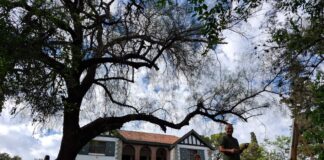 Comenzó una nueva edición del «Mes de Falla», que cuenta con conciertos musicales y teatro