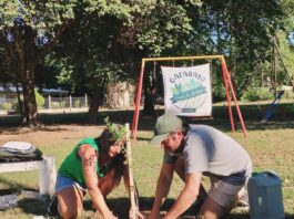 Realizarán una jornada de forestación con árboles nativos en dos plazas de barrio Parque Virrey