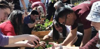 El 70% de los organismos nacionales de Córdoba incumple el cupo laboral para personas con discapacidad