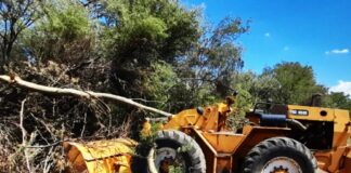 Unifican el régimen sancionatorio para los infractores ambientales de Córdoba