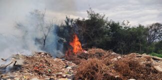 Lagunas sanitarias: nuevos incendios reflotaron la demanda de saneamiento del predio