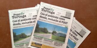Salió el último Papel Tortuga del año y acá están sus títulos principales