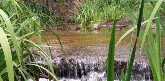 Jornada de limpieza y concientización ambiental en Valle Buena Esperanza