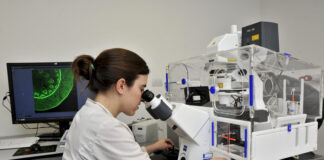 Motosierra a la investigación: Milei dispuso un importante ajuste a la ciencia