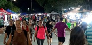La peregrinación a la Gruta de Lourdes congregó a 45 mil personas