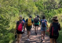 La Paisanita: invitan a participar de una jornada de reforestación con especies nativas