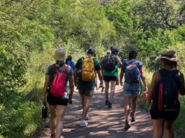 Forestarán con especies nativas el bosque serrano de la Reserva Natural de La Paisanita