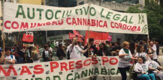 En un contexto adverso para los usuarios, Córdoba vivirá una nueva Marcha de la Marihuana