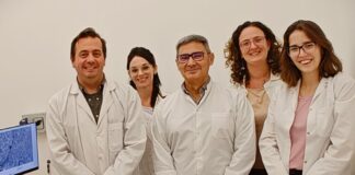 Descubren una proteína clave para frenar el crecimiento de tumores intracraneales