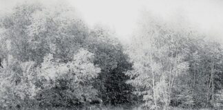 Realizarán una intervención poética musical sobre una película de Kiarostami